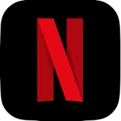 Netflix Subscription